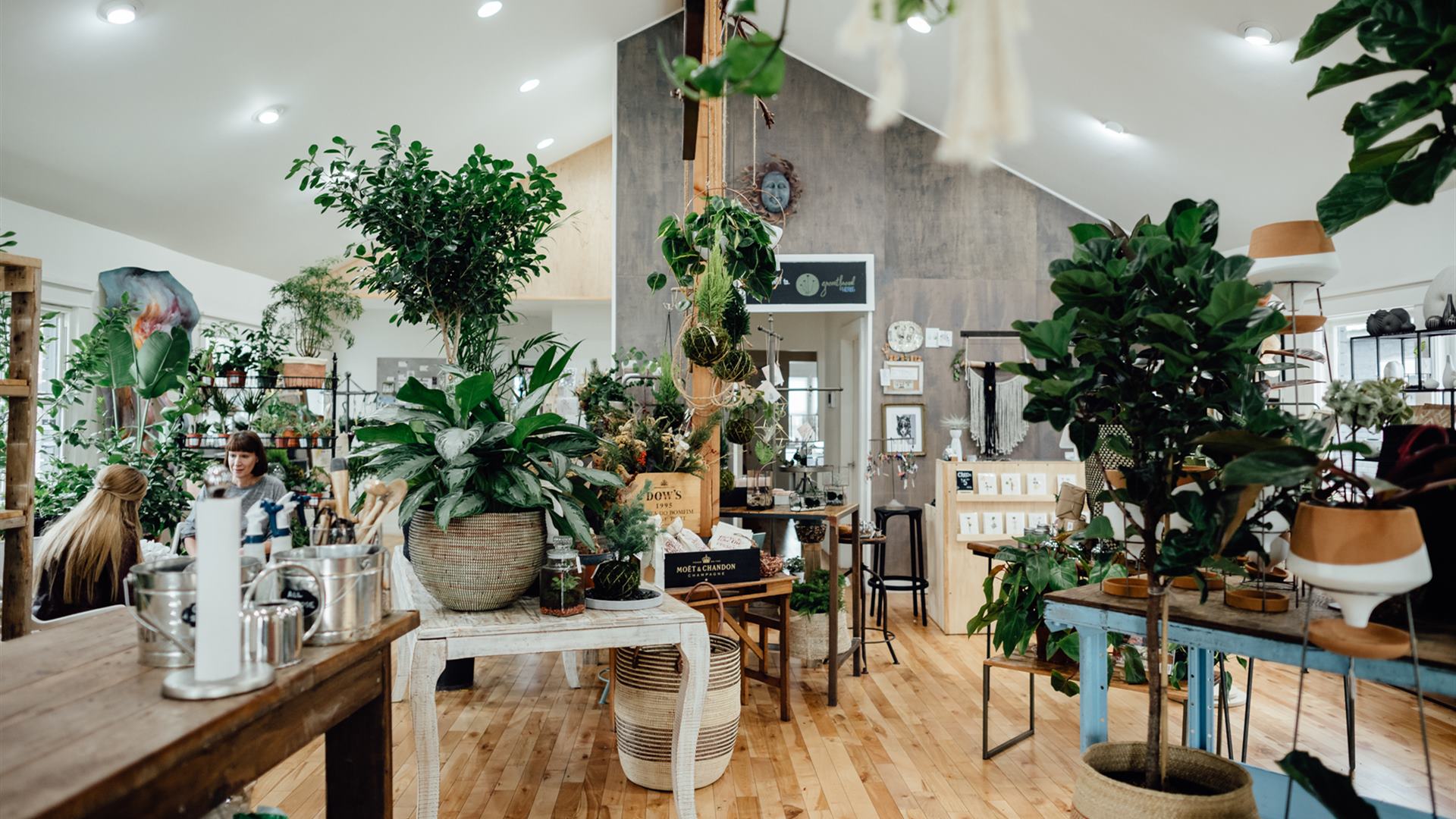 Thyme and Place Herb Your Enthusiasm